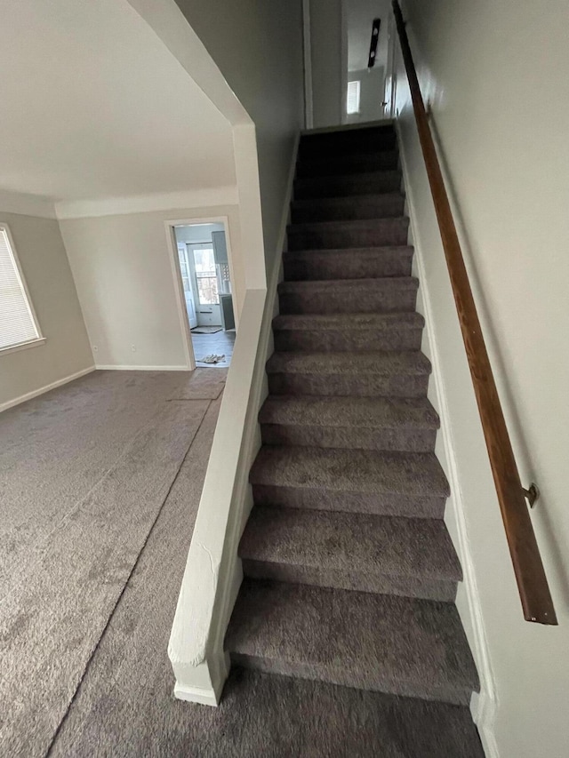 stairway featuring carpet flooring