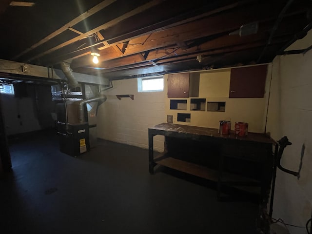 basement with heating unit