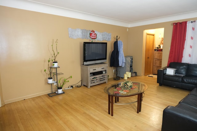 living room with light hardwood / wood-style flooring