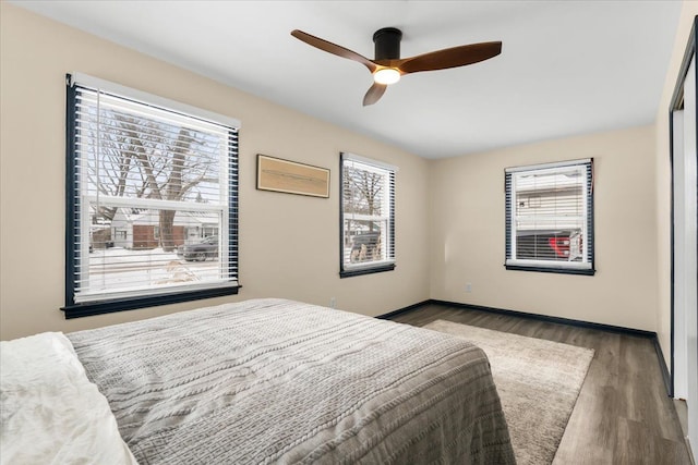 bedroom featuring ceiling fan and dark hardwood / wood-style flooring