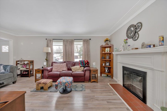 living room featuring light hardwood / wood-style floors and crown molding