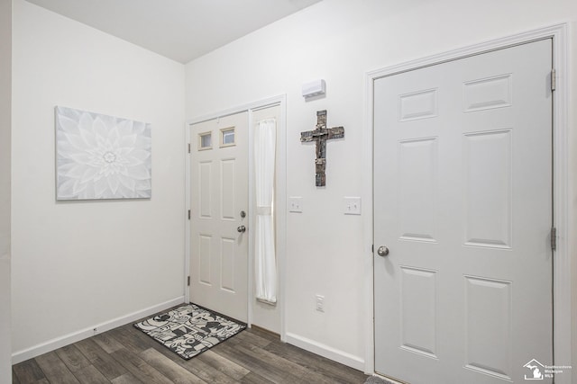 foyer featuring dark wood-type flooring