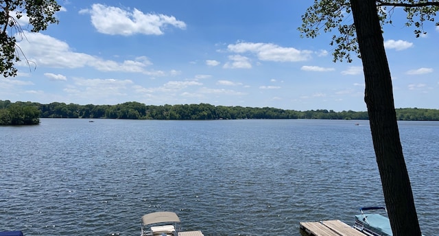 property view of water with a boat dock