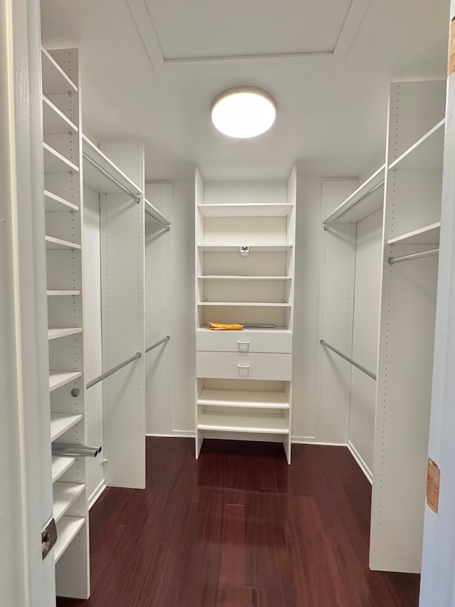 walk in closet with dark wood finished floors