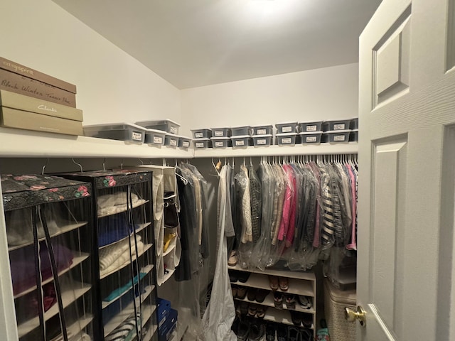 view of walk in closet