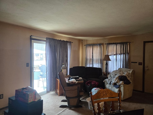 carpeted living room with a textured ceiling