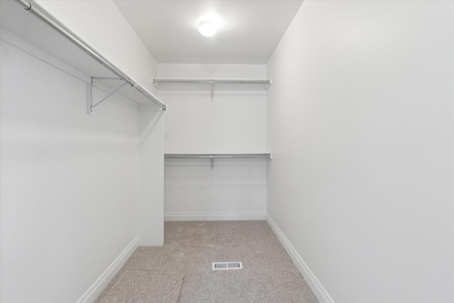 spacious closet with light carpet