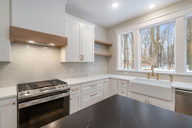 kitchen featuring appliances with stainless steel finishes, premium range hood, decorative backsplash, sink, and white cabinetry