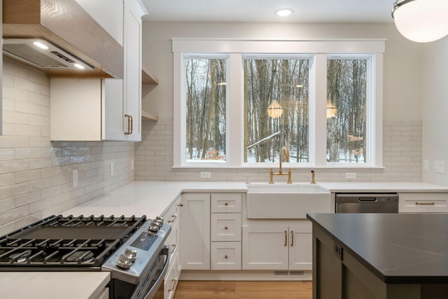 kitchen featuring custom exhaust hood, tasteful backsplash, appliances with stainless steel finishes, white cabinets, and sink