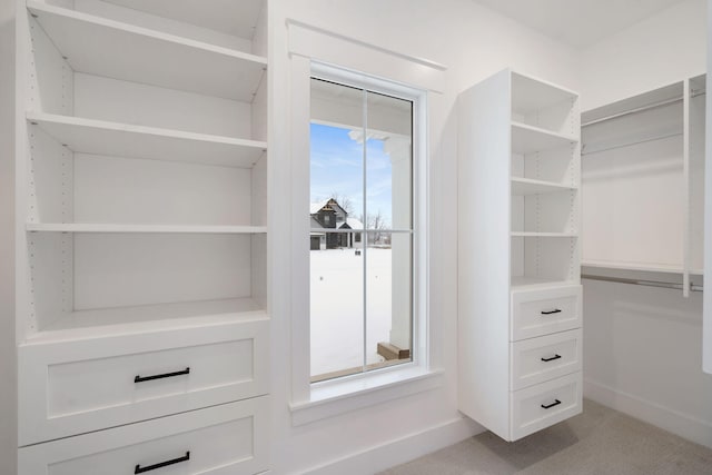 spacious closet featuring light carpet