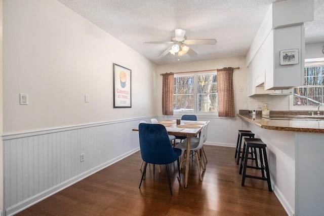 dining room with ceiling fan, dark hardwood / wood-style flooring, and a textured ceiling