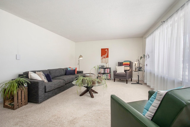 living room featuring a textured ceiling and carpet