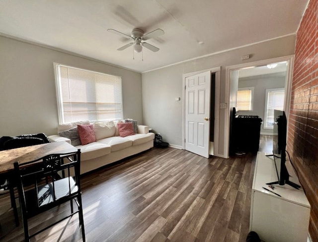 living room with ceiling fan and dark hardwood / wood-style floors