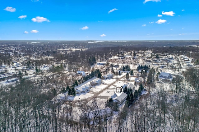 view of snowy aerial view