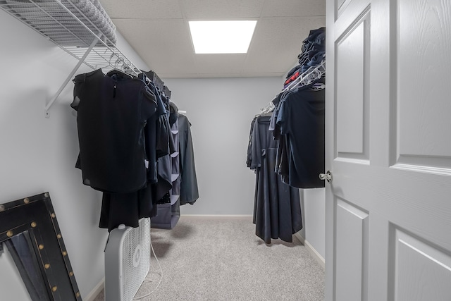 spacious closet with light carpet and a drop ceiling