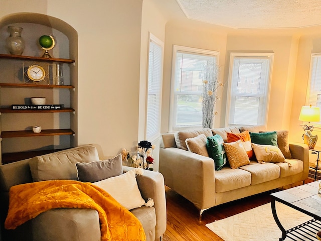 living room with a textured ceiling and hardwood / wood-style flooring