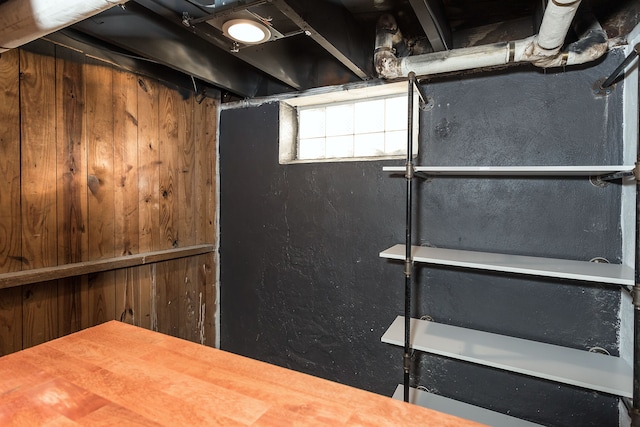 basement featuring wood walls