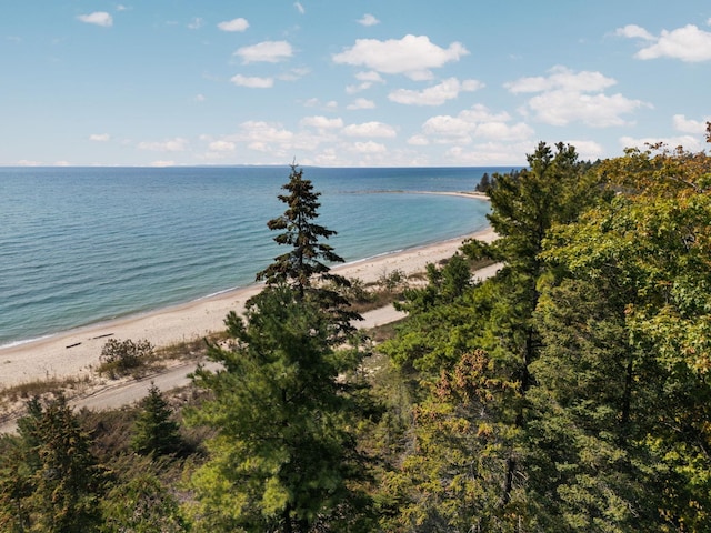 29320 Betsy Smith, Beaver Island, MI 49782 - photo 84