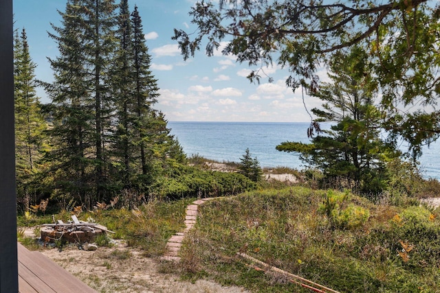 29320 Betsy Smith, Beaver Island, MI 49782 - photo 5