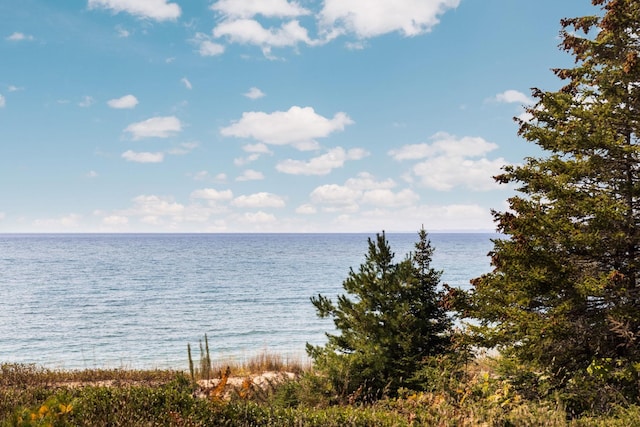 29320 Betsy Smith, Beaver Island, MI 49782 - photo 68