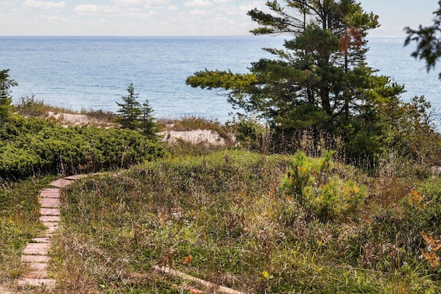 29320 Betsy Smith, Beaver Island, MI 49782 - photo 71
