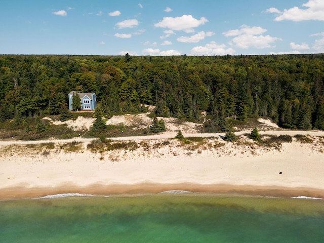 29320 Betsy Smith, Beaver Island, MI 49782 - photo 82