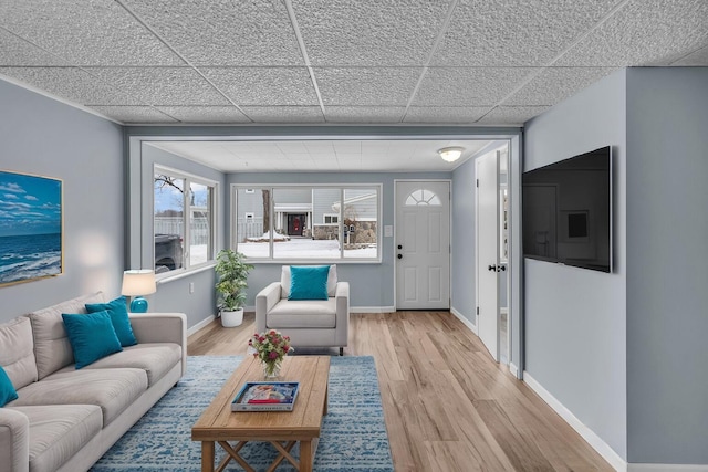 living room featuring a paneled ceiling and light hardwood / wood-style floors