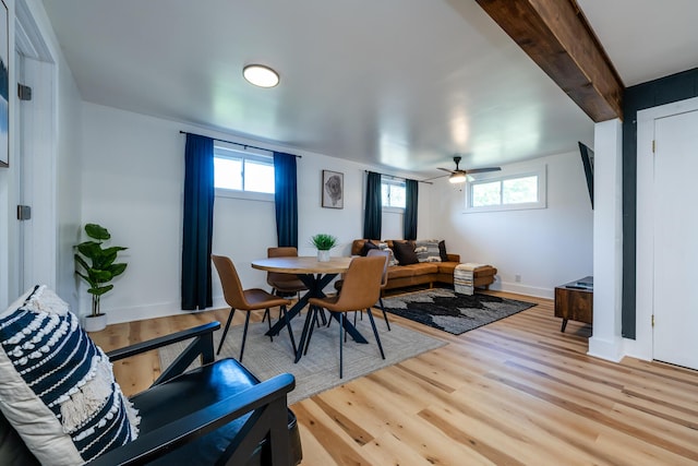 dining area with ceiling fan and light hardwood / wood-style flooring