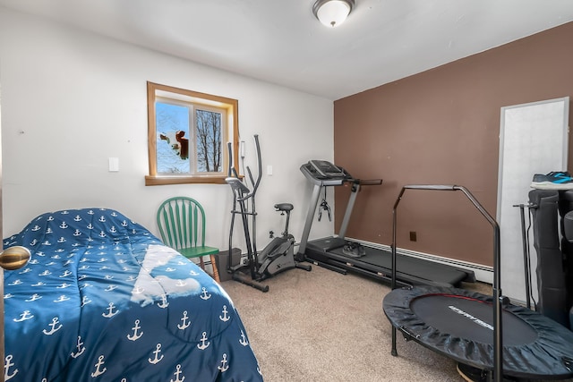 bedroom featuring carpet flooring