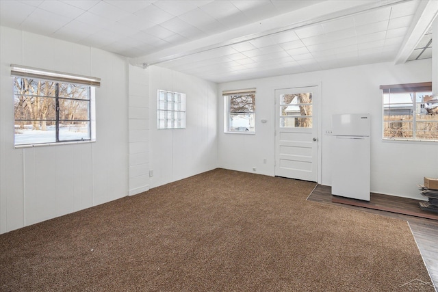 spare room featuring a wealth of natural light