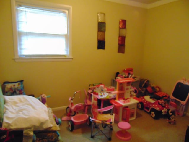 playroom with crown molding