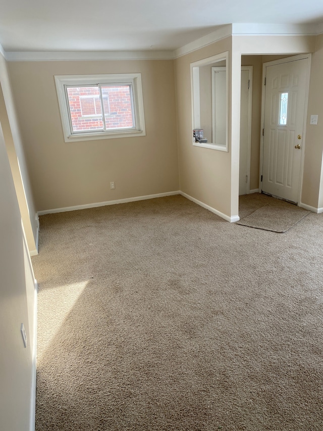 spare room with crown molding and carpet flooring