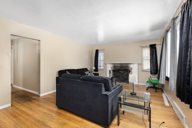 living room featuring light hardwood / wood-style floors