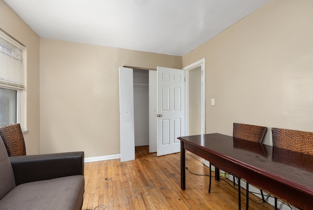 office featuring wood-type flooring