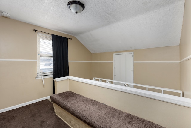 interior space featuring carpet, a textured ceiling, and vaulted ceiling