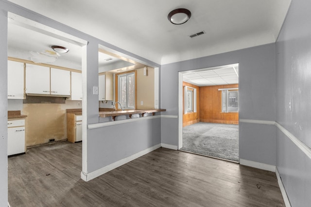 kitchen with dark hardwood / wood-style flooring, sink, and white cabinets