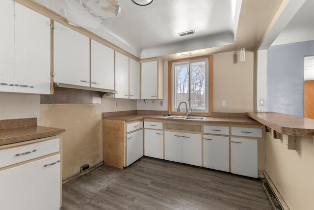 kitchen featuring white cabinetry, wood-type flooring, and sink