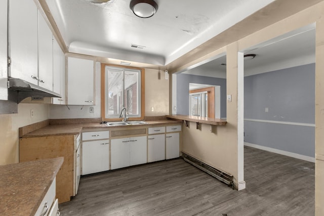 kitchen with white cabinetry, sink, dark hardwood / wood-style floors, and baseboard heating