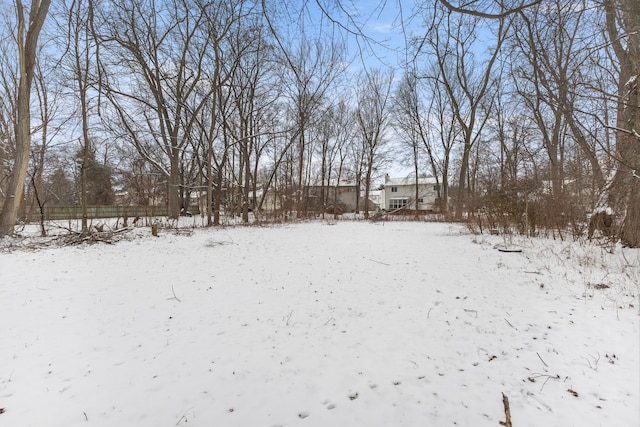 view of snowy yard