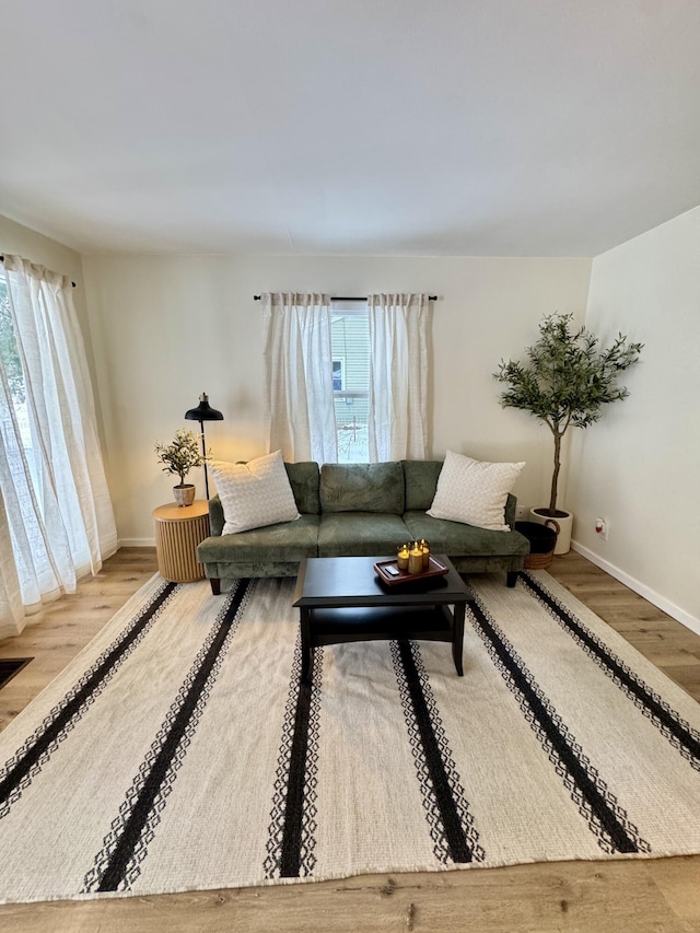 living room with wood-type flooring and a wealth of natural light