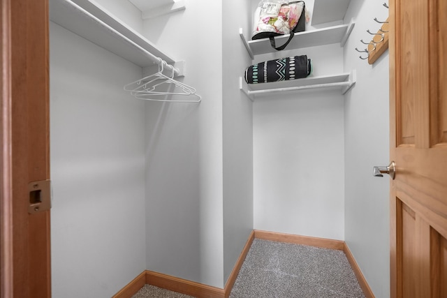walk in closet with carpet