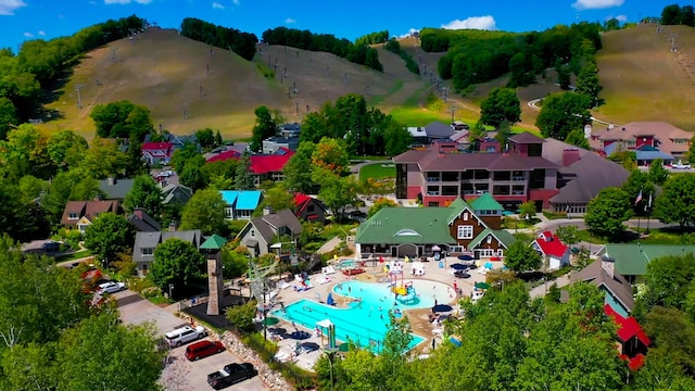 bird's eye view