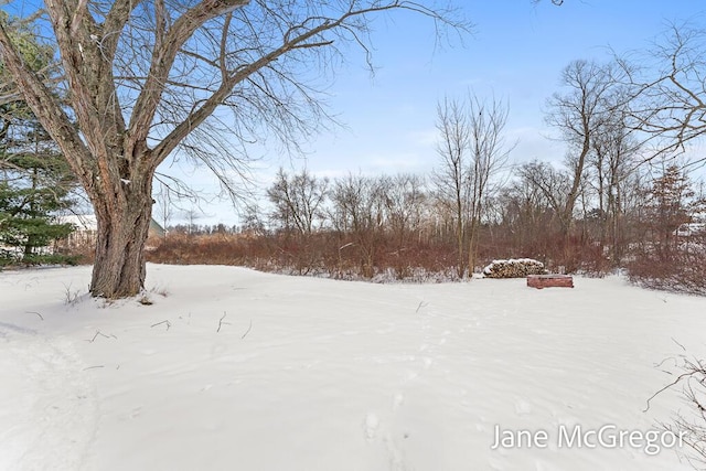 view of yard covered in snow