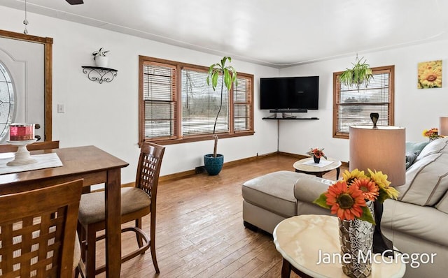 living room featuring hardwood / wood-style flooring