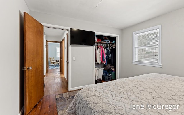 bedroom featuring dark wood-type flooring and a closet