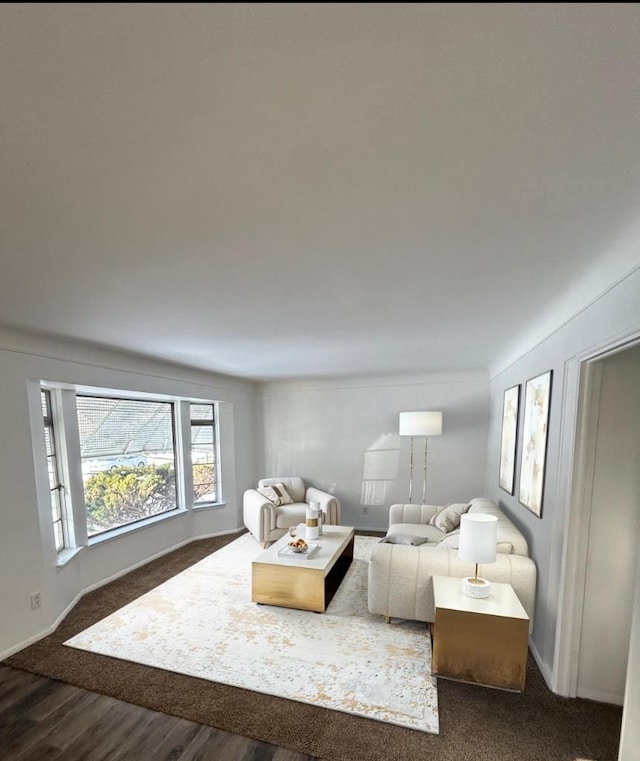 living room with dark hardwood / wood-style floors