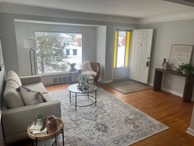 living room with hardwood / wood-style flooring