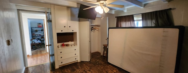 bedroom featuring ceiling fan, a closet, and dark hardwood / wood-style floors