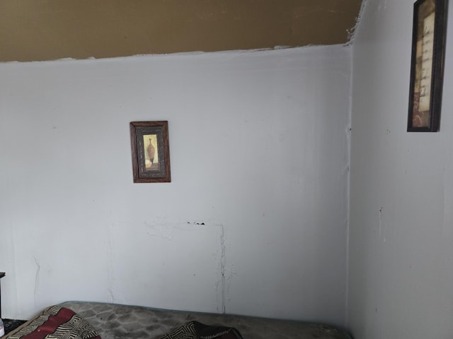 view of unfurnished bedroom