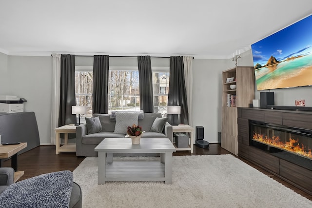 living room with crown molding and dark wood-type flooring